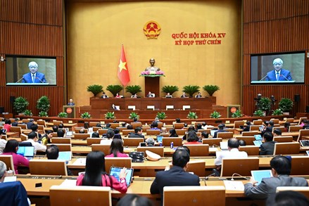 Tin tức mới