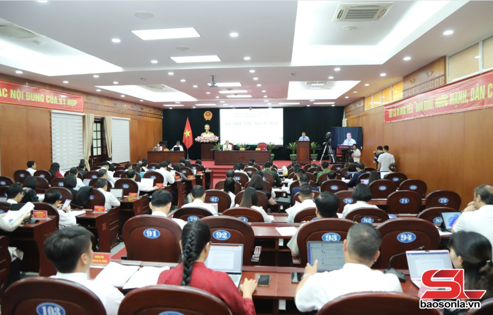 Tin tức mới
