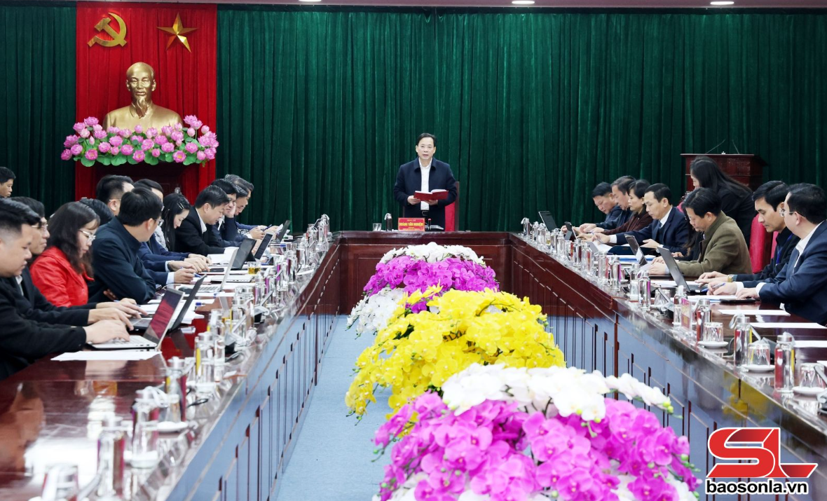 Họp Ban Chỉ đạo công tác bầu cử tỉnh