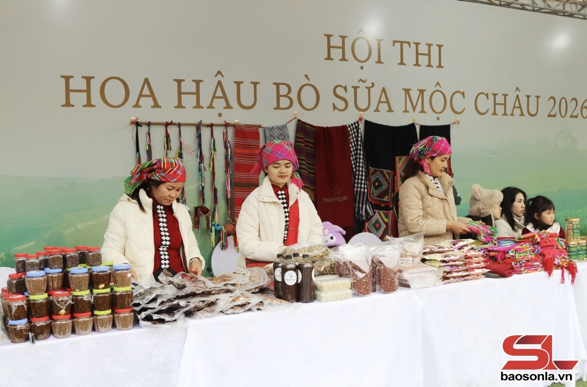 Hoạt động xúc tiến thương mại tại Hội thi Hoa hậu bò sữa Mộc Châu năm 2026