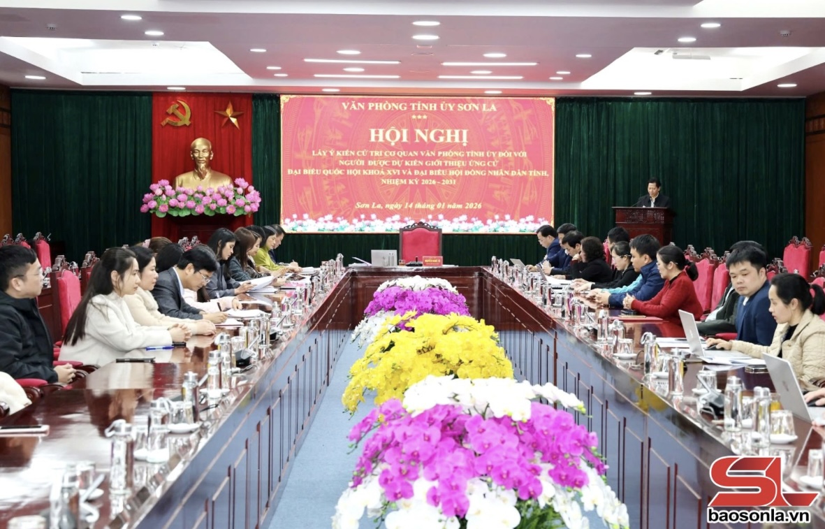 Lấy ý kiến cử tri nơi công tác đối với người được giới thiệu ứng cử đại biểu Quốc hội và HĐND tỉnh