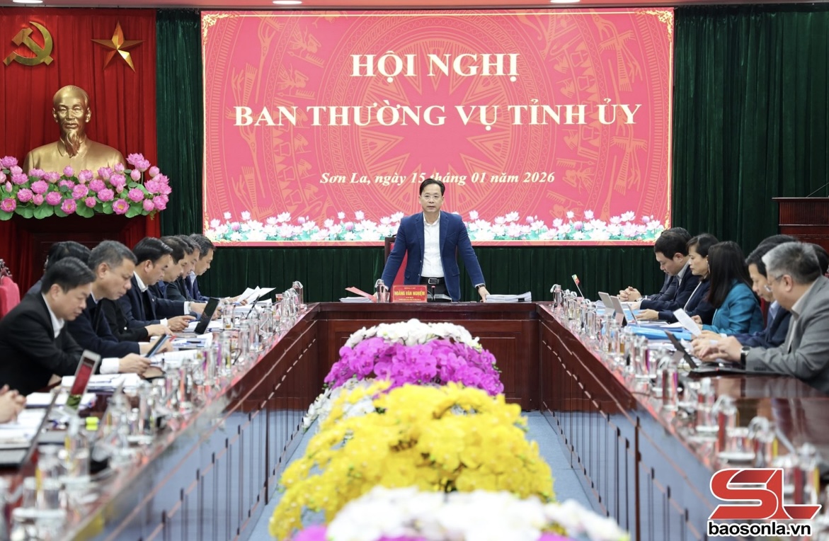 Tin tức mới