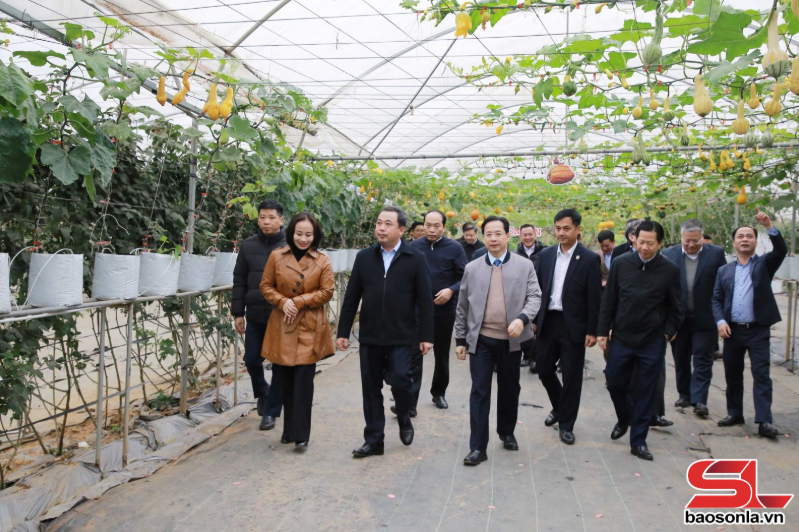 Bộ trưởng Bộ Nông nghiệp và Môi trường thăm mô hình du lịch nông nghiệp ở Mộc Châu