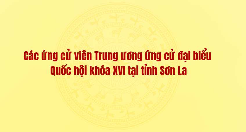 Các ứng cử viên Trung ương ứng cử đại biểu  Quốc hội khóa XVI tại tỉnh Sơn La