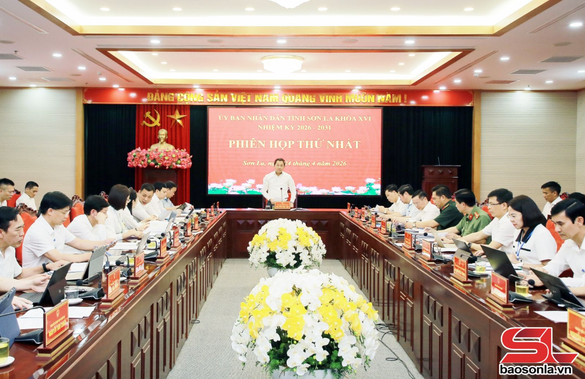 Tin tức mới