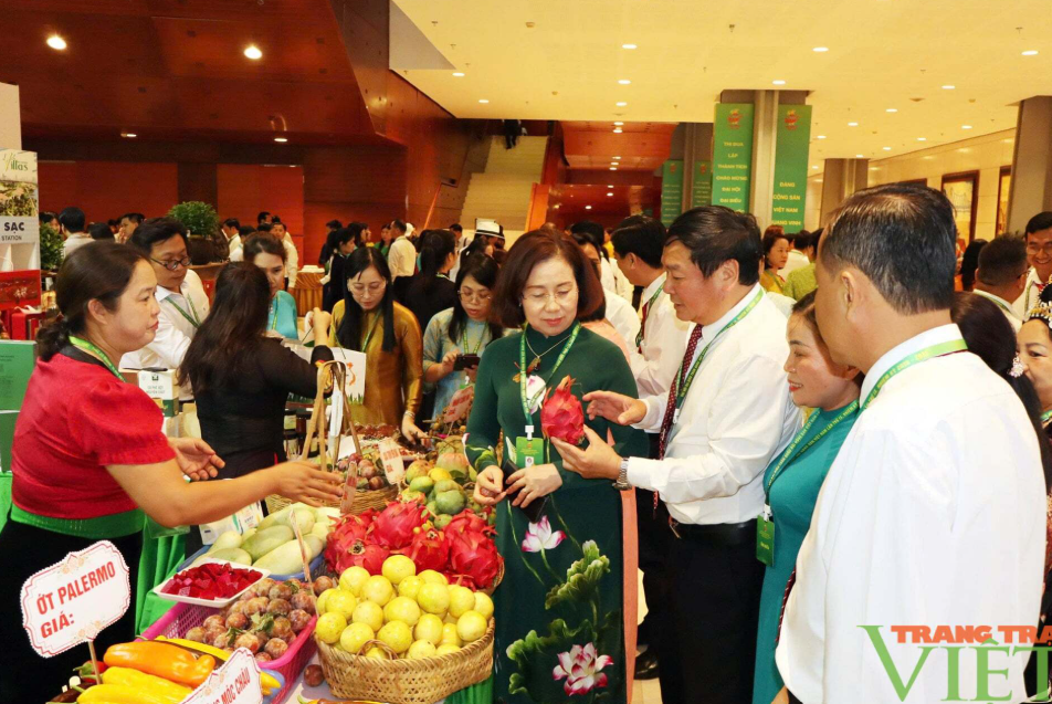 Tin tức mới