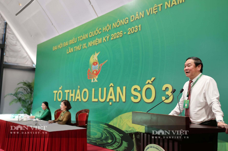 Tin tức mới